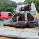 천리농장 이미지