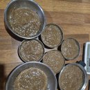 [미각체험] 원장님표 도토리묵 무침😋 이미지