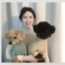 에프에이치엘(FHL)