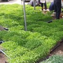 생동목장 이미지