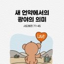 광야교회 | 새 언약에서의 광야의 의미 (행7:1-45)