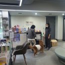 이태원동물병원 이미지