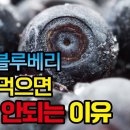 냉동 블루베리 먹는법 이미지