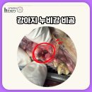 앙리동물병원 이미지
