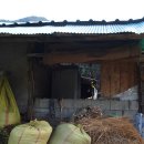 동강마을 이미지