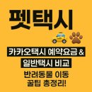 우리고 펫택시 | 🚖 펫택시 &amp; 카카오택시 예약요금 총정리 🐶🐱