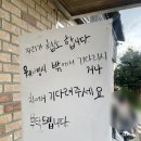 황해 | 제주 갈치조림 아침 맛집 추천 공항 근처 황해식당 솔직 후기