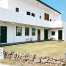 하이제인 이미지