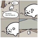 [야간]요가B반 | 주민센터 요가강사 면접 후기