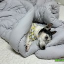 시대장모텔 이미지