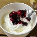 요거트홀릭 강남점 배달 후기 | 콩포트·치즈큐브 추가한 요거트아이스크림 솔직 리뷰