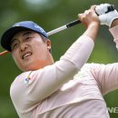웰스투어주