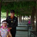 호수공원_중앙광장 이미지