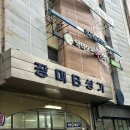 [송파] 잠실역 맛집 장미분식 잠실점 정찬후기