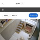 타임호텔 | [대구범어동] 수성구 애견호텔링 위탁서비스 &#39;애견호텔타임24&#39; 솔직후기