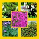 사진만들기 이미지