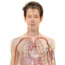 은평요양원 | 은평실버랜드요양원 직접 살펴보니 정보가 또렷했어요