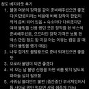 베지아웃 이미지