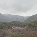 하씨토종흑돼지 이미지