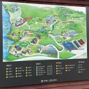 (주)굿모닝팜 | 전북 고창 가볼만한곳 5월 여행지 추천 아이와 가볼만한곳 애견동반 가능 - 상하농원