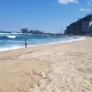 정동진역 이미지