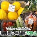 라이프컴퍼니 이미지