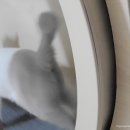 서초M동물의료센터 이미지