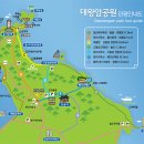 대왕암솔바람길 이미지