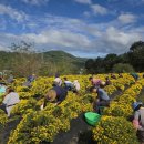 산청지역자활센터 이미지