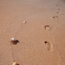 금광중학교 이미지