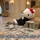 키티 - 영주시 동양대로 21 | 키티