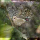 시민세이프티 이미지