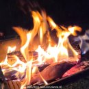 평사리 | 하동 평사리공원 야영장 캠핑 후기｜사이트 추천·장단점·예약 꿀팁 총정리