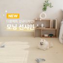 썬샤인디자인 이미지