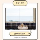 강릉펜션 CN6풀빌라 아기와 가기 좋은 통창 오션뷰펜션