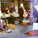 음악과 함께하는 마음 여행 이미지