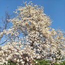 호산농원 이미지