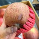[선착순 5박스] 때깔 좋은 사과 🍎 영주 부사(대과)를 드세요. 이미지