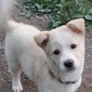 하루네 농장 이미지