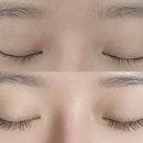 대신정기화물 | 김포 운양동속눈썹연장 후기✨ 자연스럽고 예쁜 눈매 완성