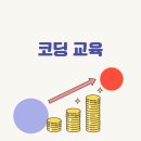 코딩 교육 부업 추천 월 300 수익 창출 현실 후기 및 방법 총정리