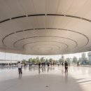 Globally Consulting  이미지