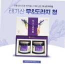 아침의 새소리 이미지