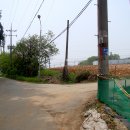 대추리길 이미지