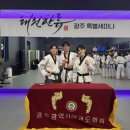 태권도담 네이버블로그