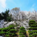 은혜병원 이미지