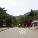 두타산 피마름골 숲길+별유천지 무릉계곡 족탕 이미지