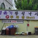 정윤기 황칠낙지 이미지