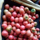 효정농장 이미지