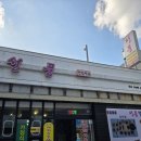 여기닭여수 | 여수 복날 몸보신은 여기! 여수 여서동 맛집 선풍 백숙 후기